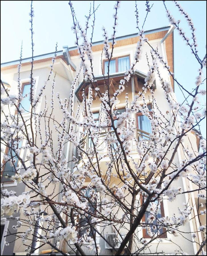 Aia Hotel Tbilisi Exterior photo